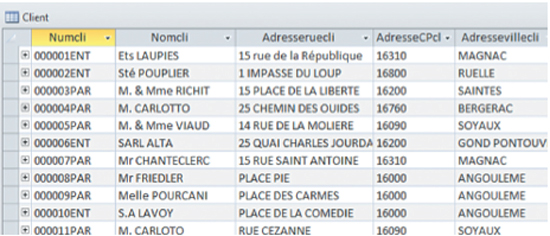 Extrait de la base de données clients